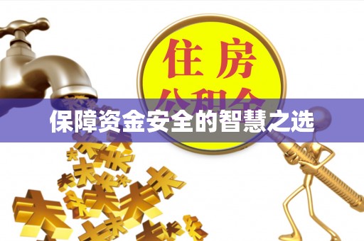 雅安保障资金安全的智慧之选