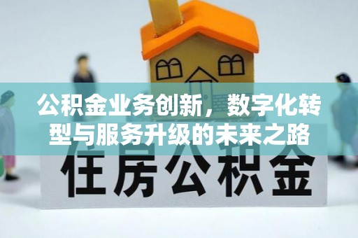 雅安公积金业务创新，数字化转型与服务升级的未来之路